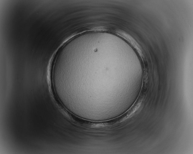 X0000087520843200705181011