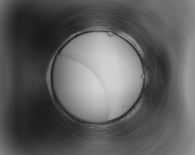 X0000087520844200705181011