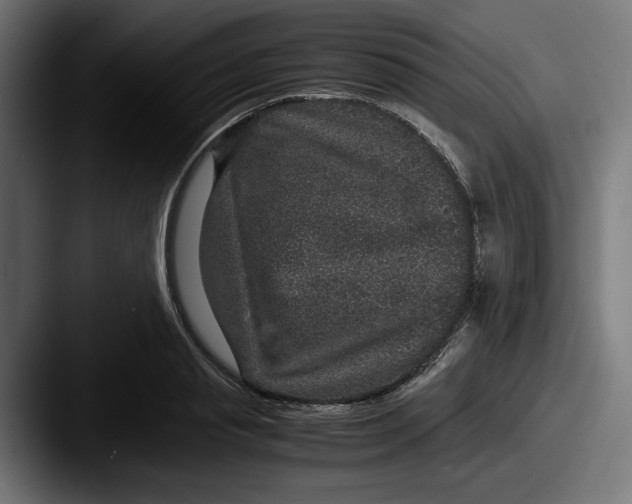 X0000087520845200705181011