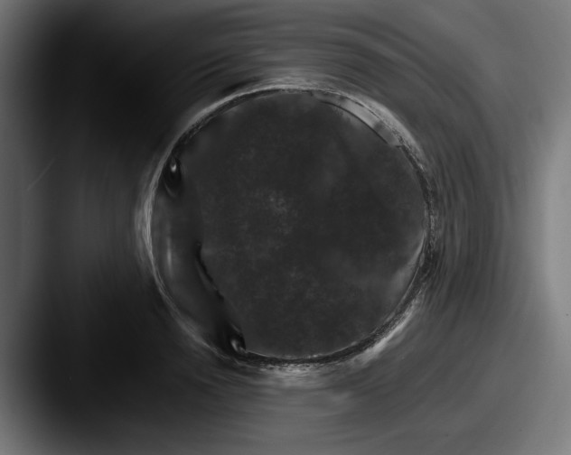 X0000087520846200705181011