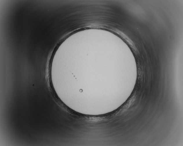 X0000087520848200705181011