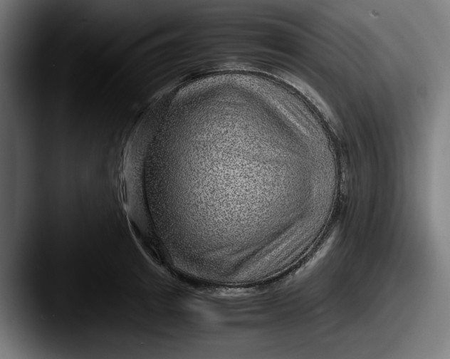 X0000087520849200705181011