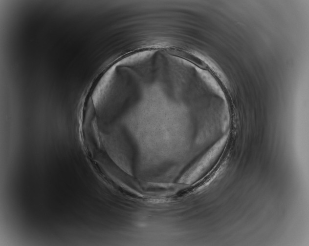 X0000087520850200705181011