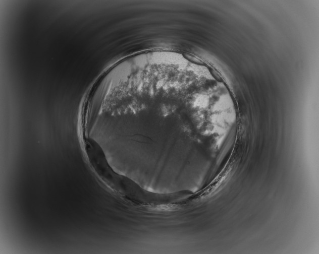 X0000087520851200705181011