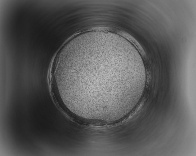 X0000087520852200705181011