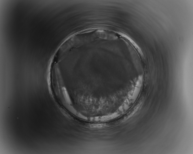 X0000087520853200705181011