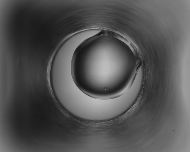 X0000087520854200705181011