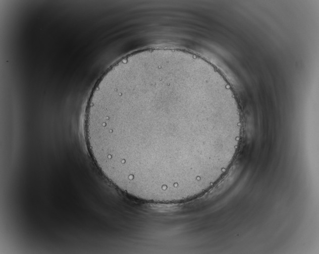 X0000087520856200705181011