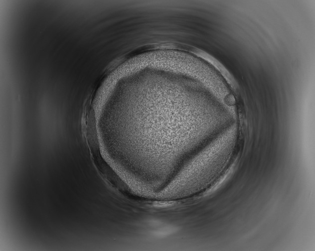 X0000087520857200705181011