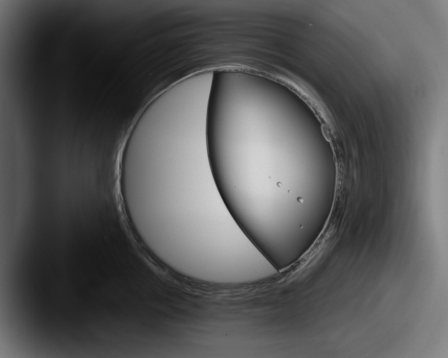 X0000087520858200705181011