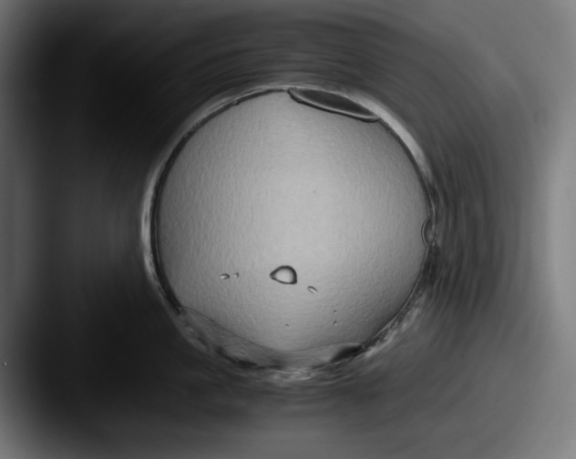 X0000087520861200705181011