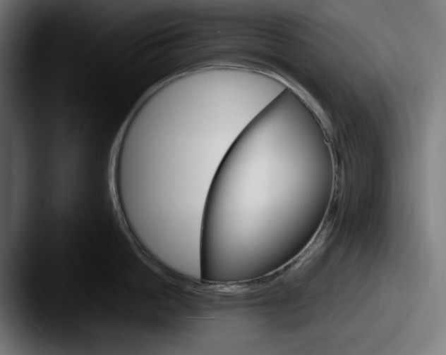 X0000087520862200705181011