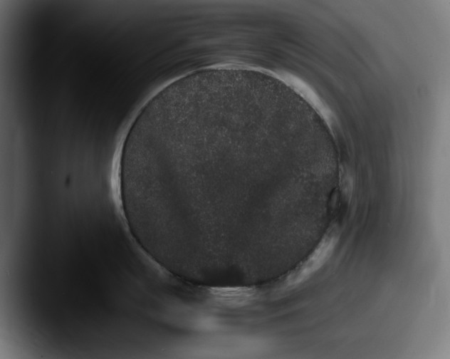 X0000087520863200705181011