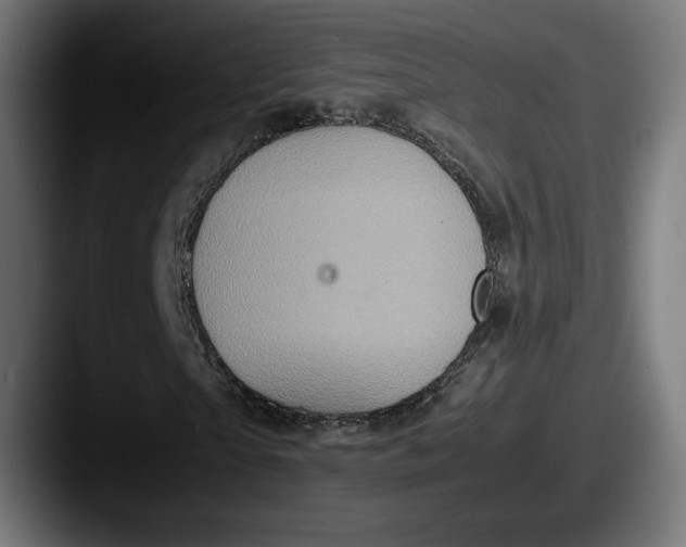 X0000087520865200705181011