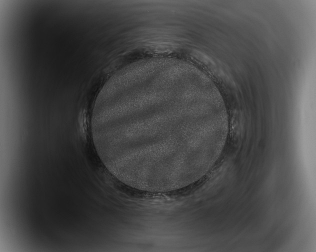 X0000087520866200705181011