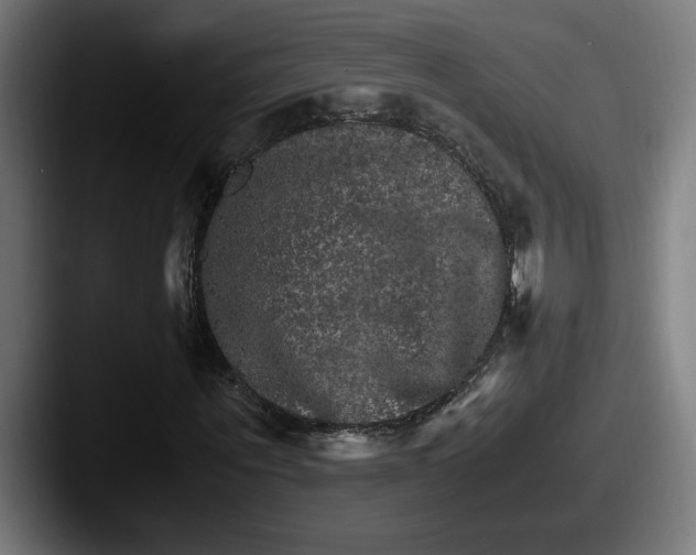 X0000087520867200705181011