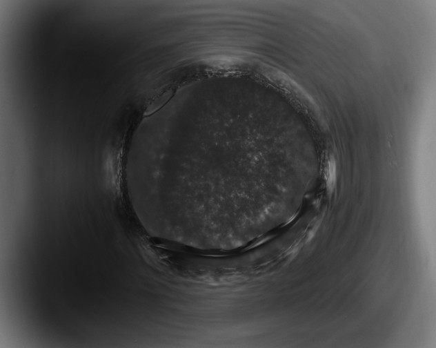 X0000087520868200705181011