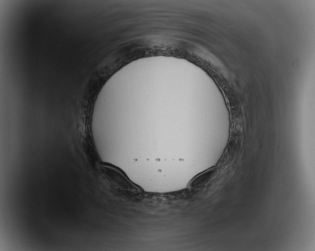 X0000087520869200705181011