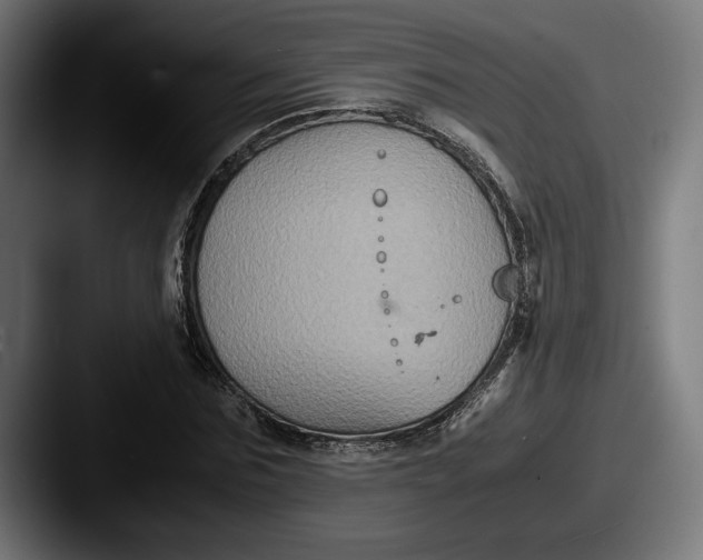 X0000087520875200705181010