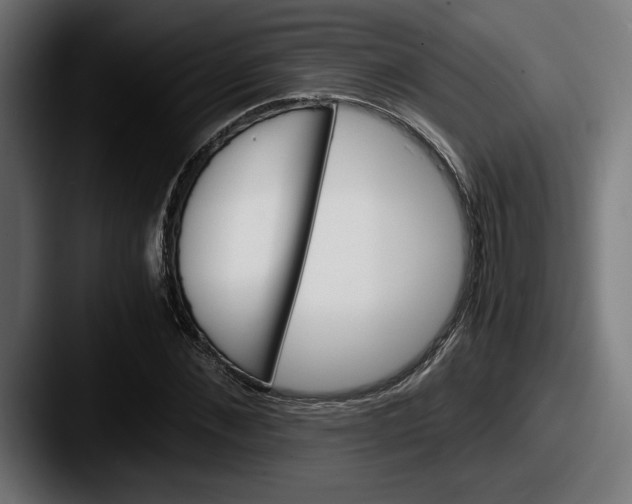 X0000087520876200705181010