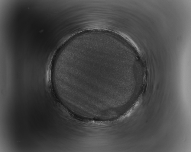 X0000087520877200705181010