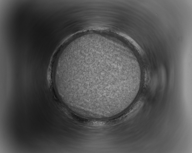 X0000087520878200705181010