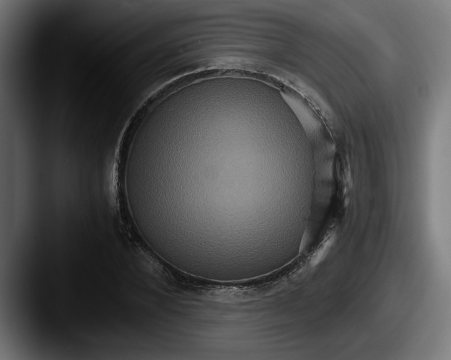 X0000087520880200705181010