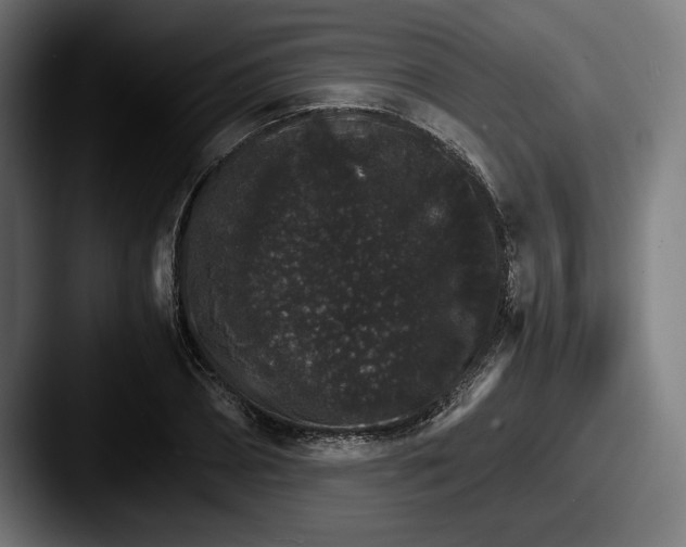 X0000087520882200705181010