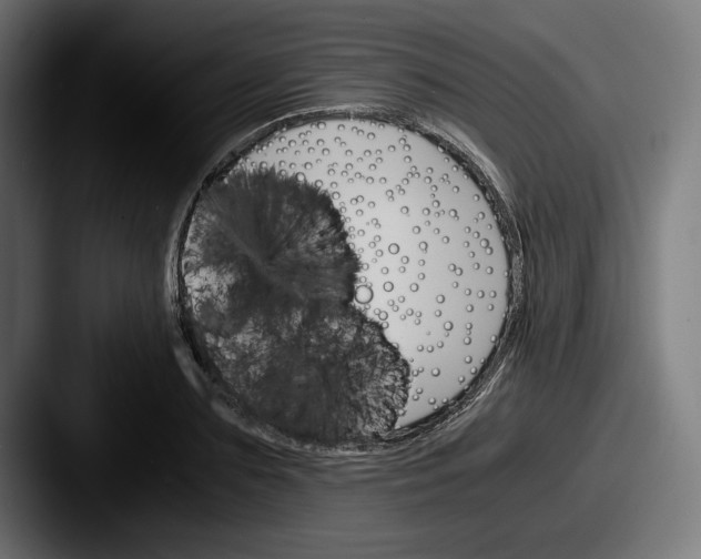 X0000087520883200705181010