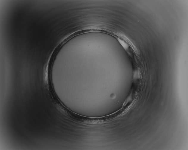 X0000087520884200705181010