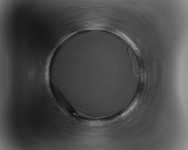 X0000087520885200705181010