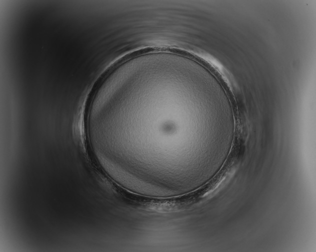 X0000087520887200705181010