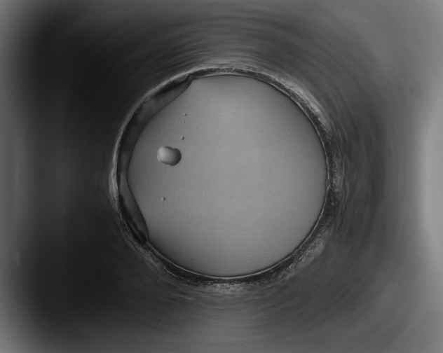 X0000087520888200705181010