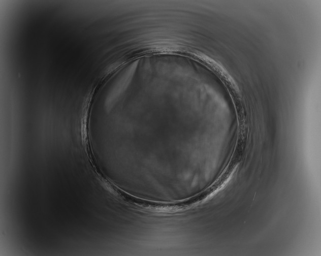 X0000087520889200705181010