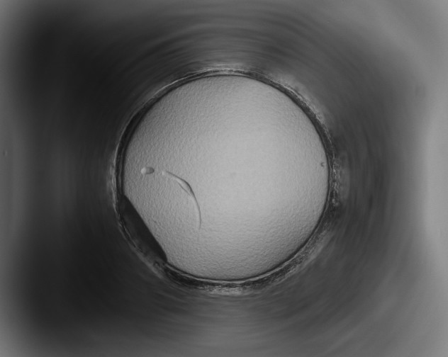 X0000087520890200705181010