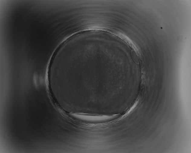 X0000087520892200705181010