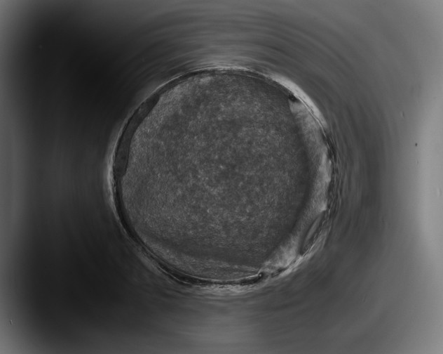 X0000087520893200705181010