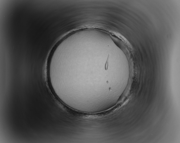 X0000087520894200705181010