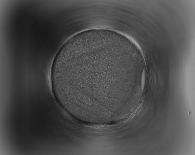 X0000087520895200705181010