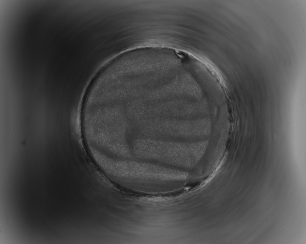 X0000087520896200705181010