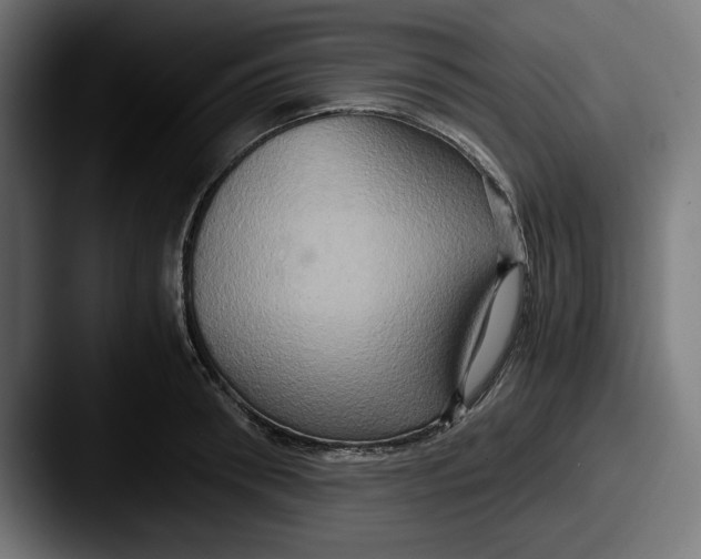 X0000087520898200705181010