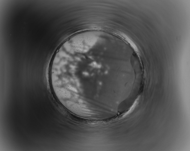 X0000087520899200705181010