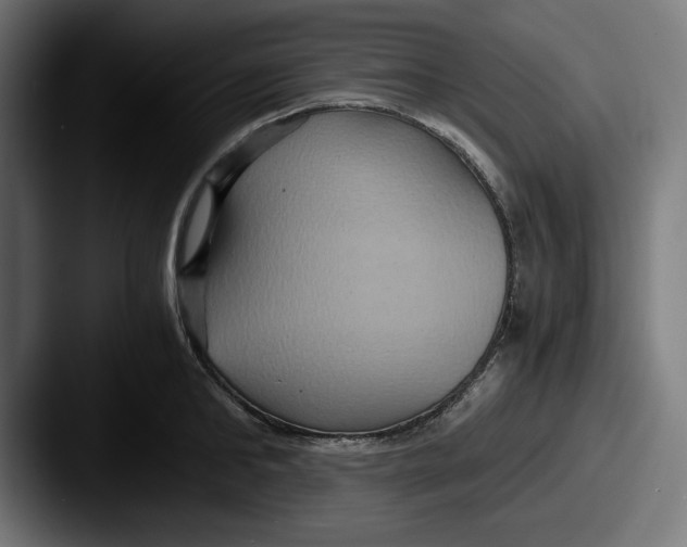 X0000087520902200705181010