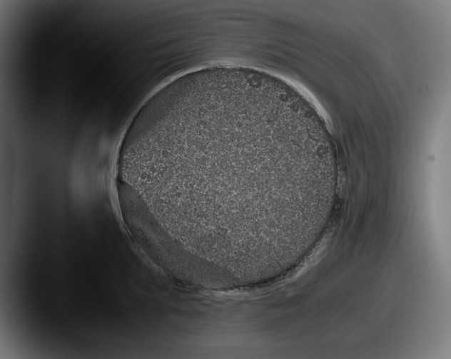 X0000087520903200705181010