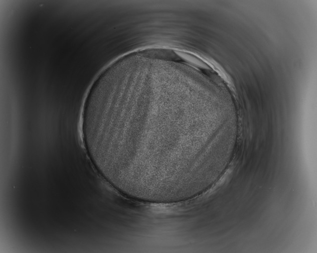 X0000087520904200705181010