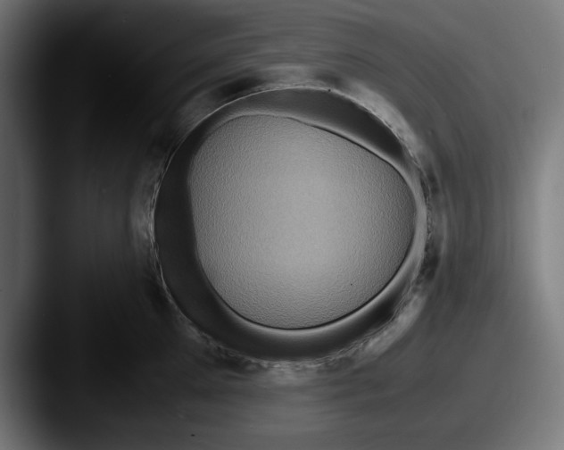 X0000087520905200705181010