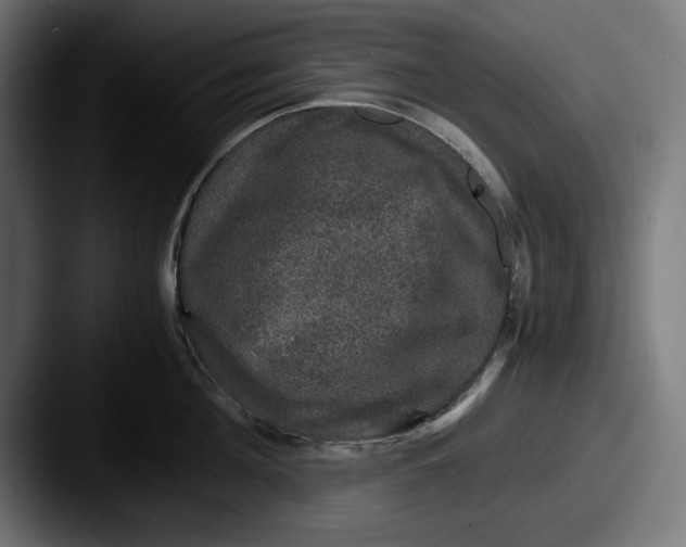 X0000087520908200705181010