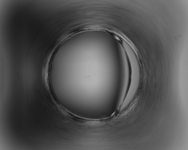 X0000087520909200705181010