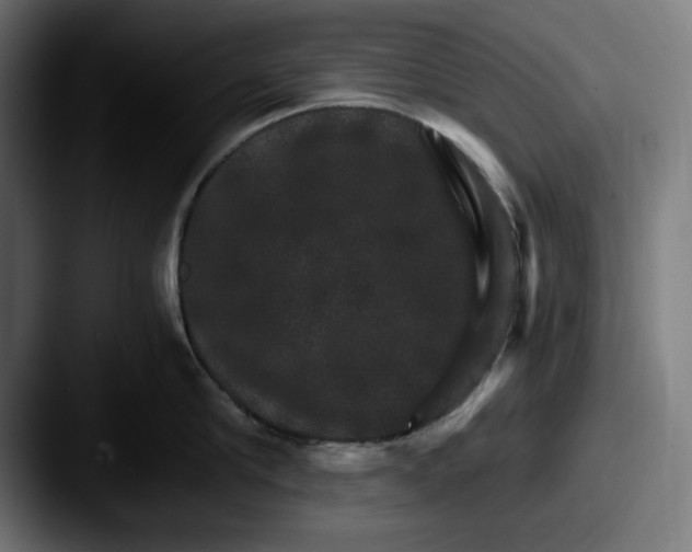 X0000087520910200705181010