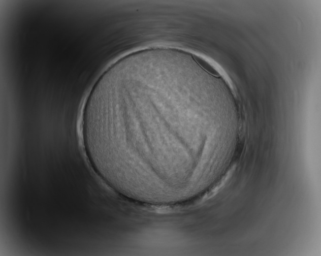 X0000087520911200705181010